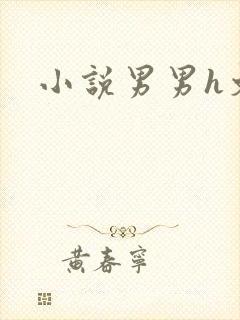 小说男男h文封面