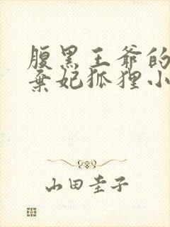 腹黑王爷的绝色弃妃狐狸小姝完整版