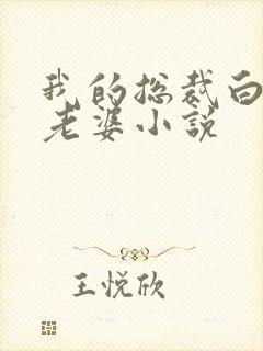 我的总裁白富美老婆小说