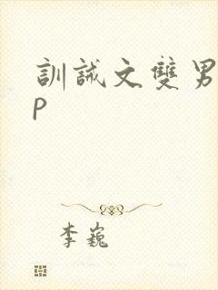 训诫文双男主sp