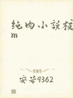 纯肉小说校园sm