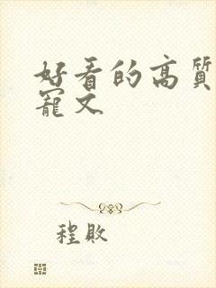 好看的高质量甜宠文