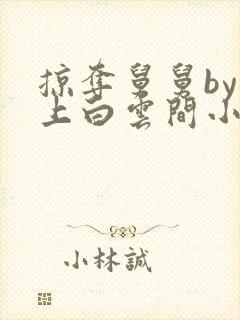 掠夺舅舅by远上白云间小说免费阅读笔趣阁