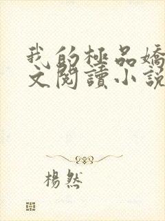 我的极品娇妻全文阅读小说