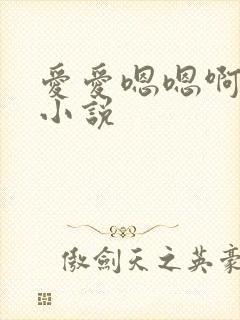 爱爱嗯嗯啊啊啊小说