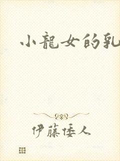小龙女的乳头封面