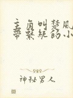 主角叫楚风穿越带系统的小说