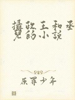 摄政王和丞相女儿的小说