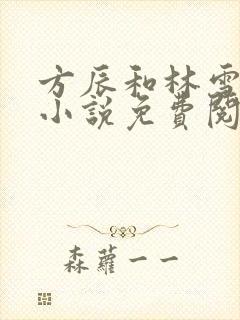 方辰和林雪妍的小说免费阅读最新章节封面