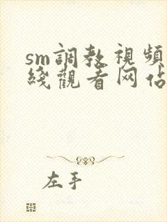 sm调教视频在线观看网站