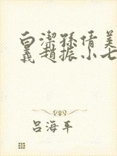 白洁孙倩美红高义赵振小七小说封面