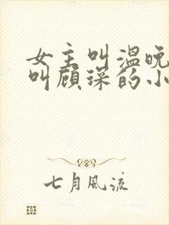 女主叫温晚男主叫顾琛的小说