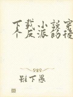 下载小说穿成五个反派的后娘