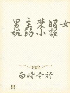 男主裴昭女主林婉的小说封面