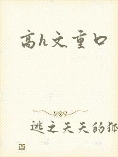 高h文重口