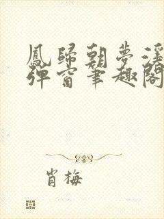 凤归朝梦溪石无弹窗笔趣阁