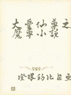 大爱仙尊之邪淫魔尊小说