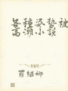 各种姿势被脔到高潮小说