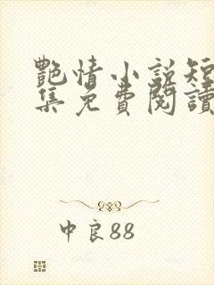 艳情小说短篇合集免费阅读封面