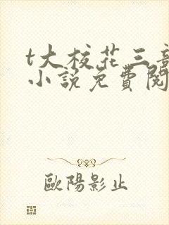 t大校花三部曲小说免费阅读全文封面