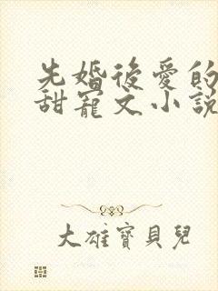 先婚后爱的总裁甜宠文小说