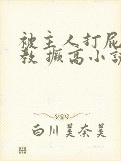 被主人打屁股调教 撅高小说