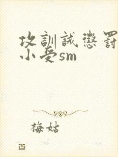 攻训诫惩罚调教小受sm