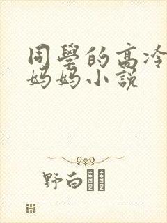 同学的高冷美艳妈妈小说