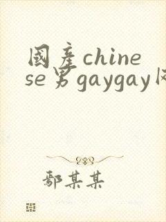 国产chinese男gaygay网站