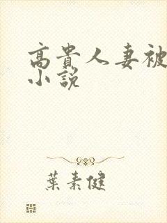 高贵人妻被调教小说