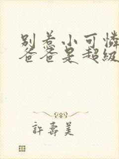 别惹小可怜,她爸爸是超级女儿奴小说