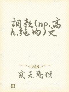 调教(np,高h,纯肉)文