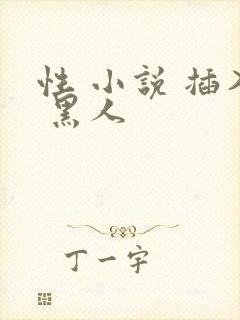 性 小说 插入 黑人封面