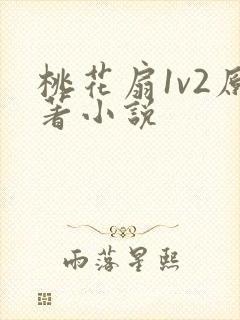 桃花扇1v2原著小说封面