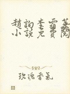 赵询李霜华宸妃小说免费阅读封面