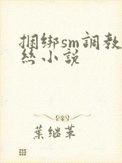 捆绑sm调教白丝小说