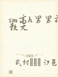 sm高h男男调教文