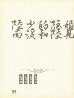陆少的隐婚罪妻南溪和陆见深