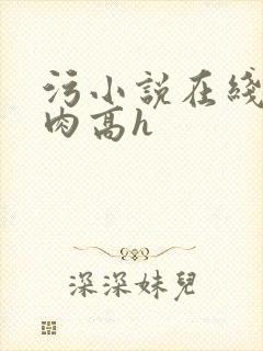 污小说在线阅读肉高h