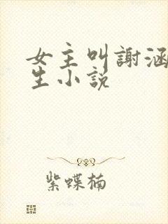 女主叫谢涵的重生小说封面