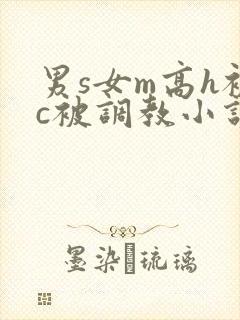 男s女m高h被c被调教小说