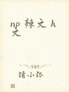 np 辣文 h文封面