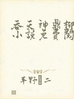 吞天神鼎柳无邪小说免费阅读封面