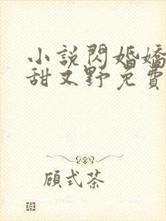 小说闪婚娇妻又甜又野免费阅读