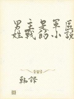 男主是军区首长姓战的小说