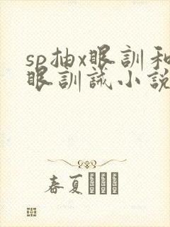 sp抽x眼训和眼训诫小说双男