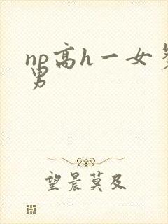 np高h一女多男