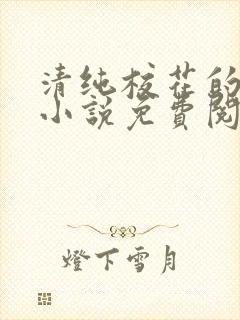 清纯校花的堕落小说免费阅读无弹窗封面