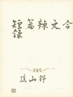 短篇辣文合集目录