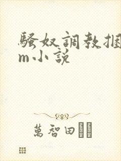 骚奴调教捆绑sm小说